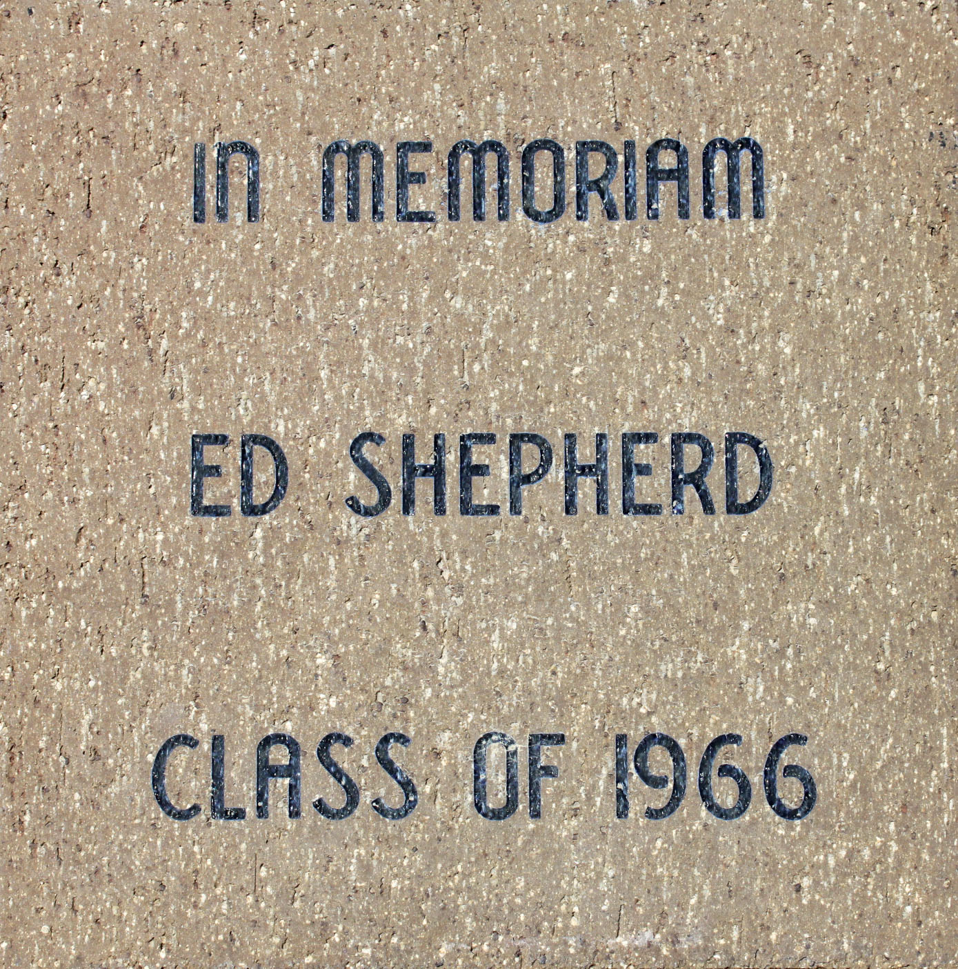 Shepherd, Ed